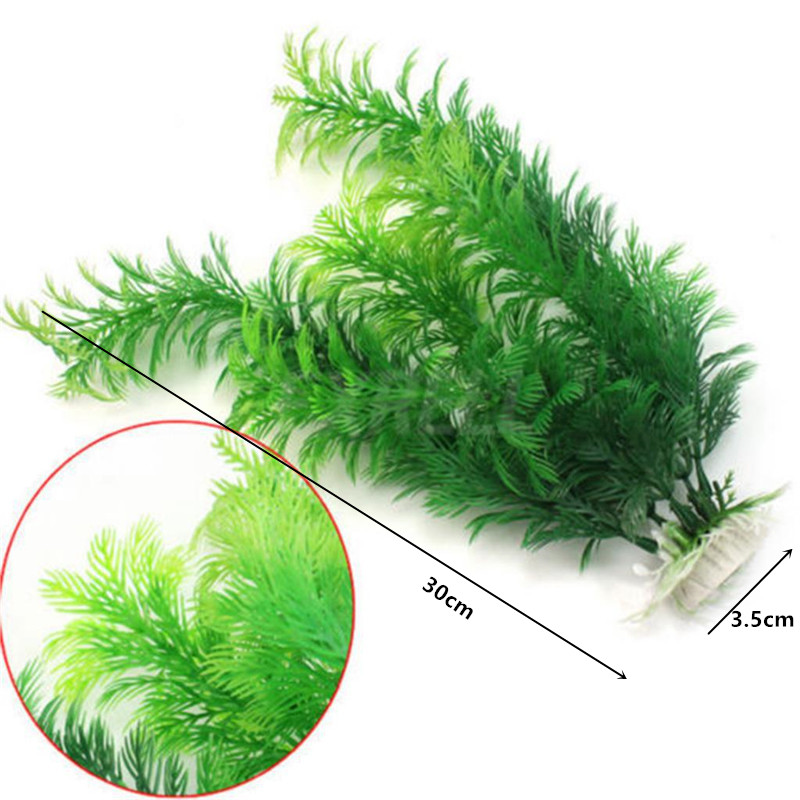14cm - 30cm Tanaman Akuarium P - Aquarium Plant Live ulasan dan harga