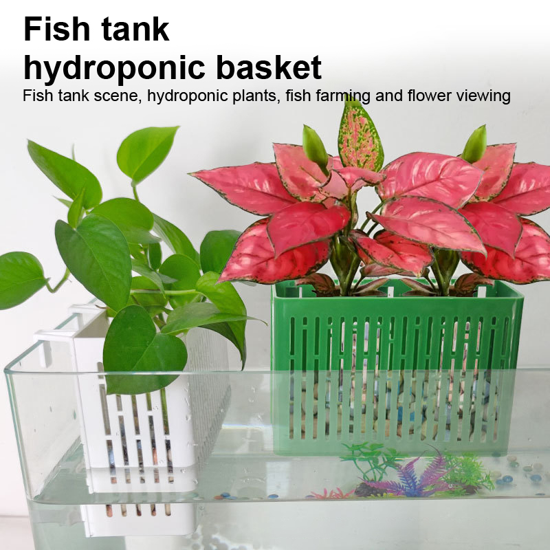 【F】Wadah Tanaman Gantung untuk - Aquarium For Planted Tank ulasan dan harga