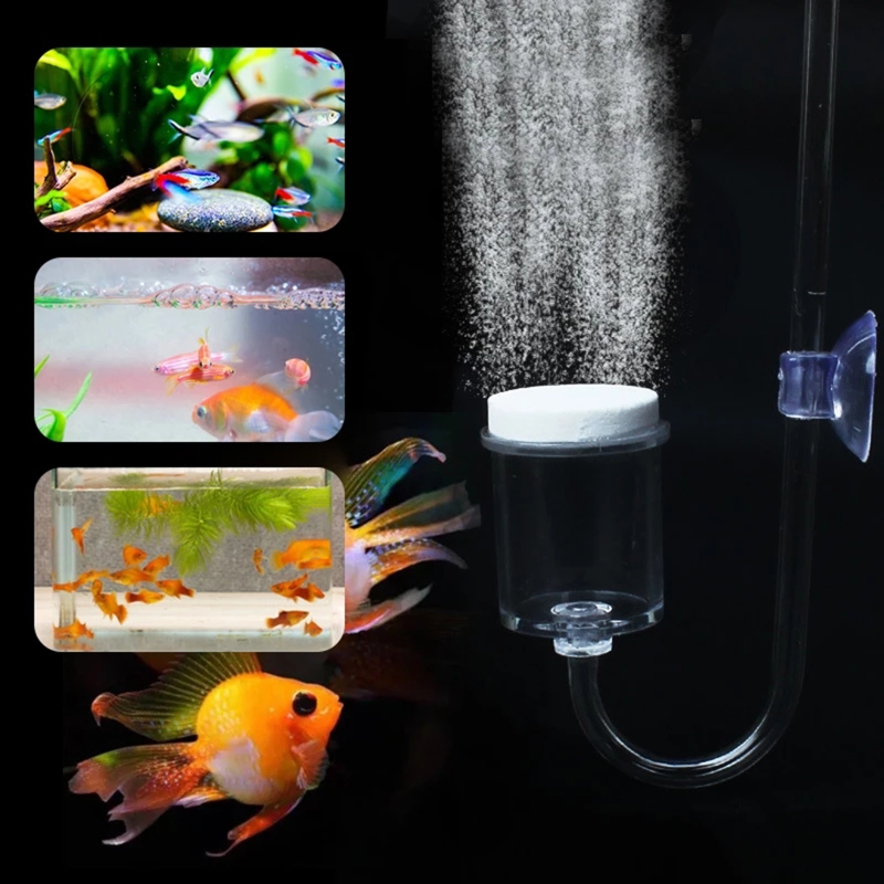 4 buah Set CO2 DIY Diffuser, u - Aquarium Plant Gel ulasan dan harga