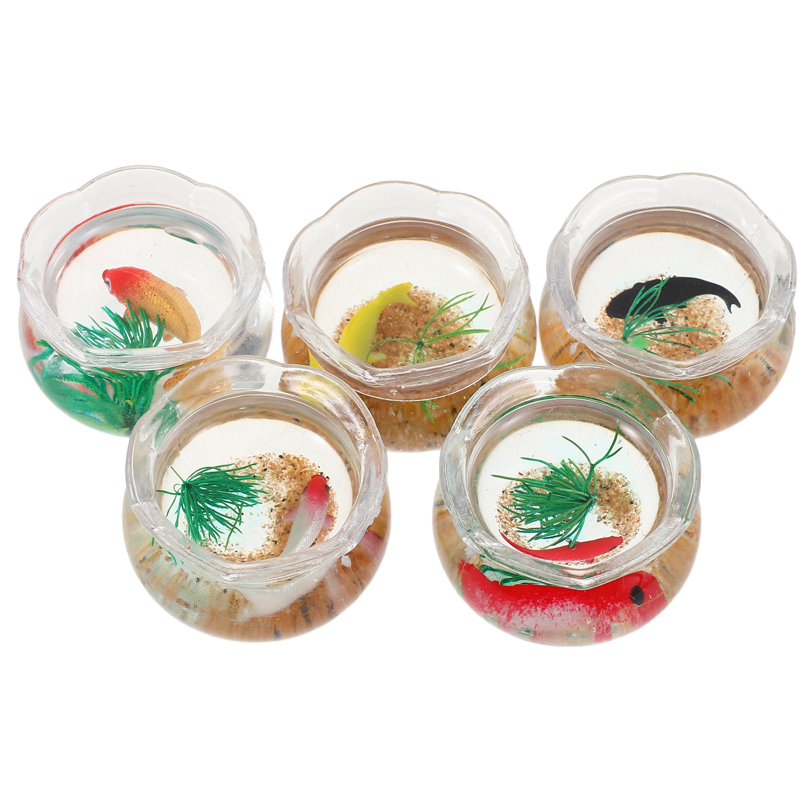 5 Buah Akuarium Mini Berbentuk - Aquarium Planting ulasan dan harga