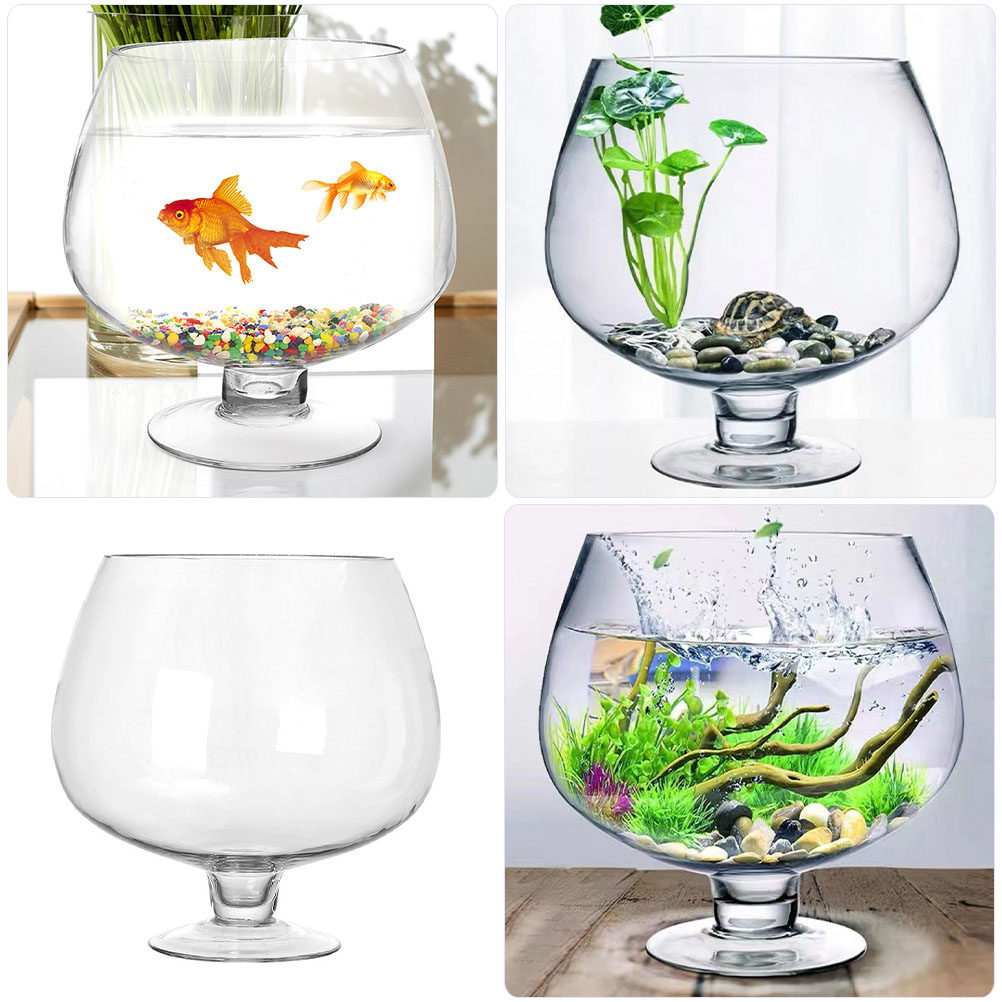 Vas Akuarium Kaca Bening yang  - Planted Aquarium Angelfish ulasan dan harga