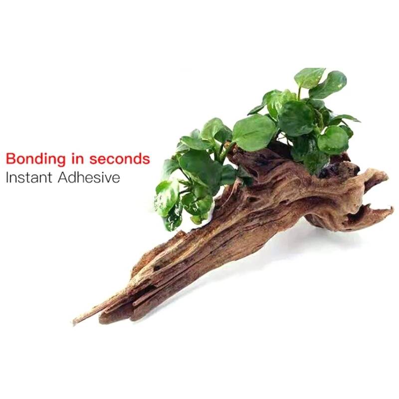 1.8oz/3.5oz Lem Lumut Cepat Ke - Non Planted Aquarium Fish ulasan dan harga